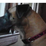Marley Nicole Weiner