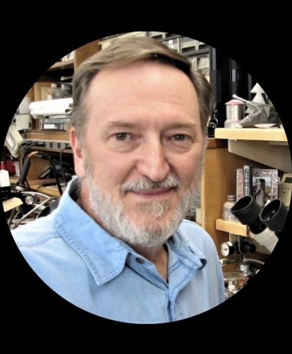 Tod Adam Boyd